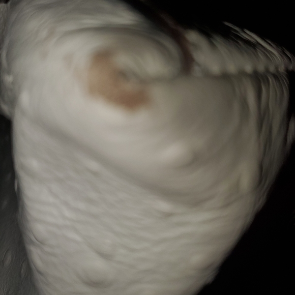 Beautiful textured Kate Spade purse - Picture 4 of 4